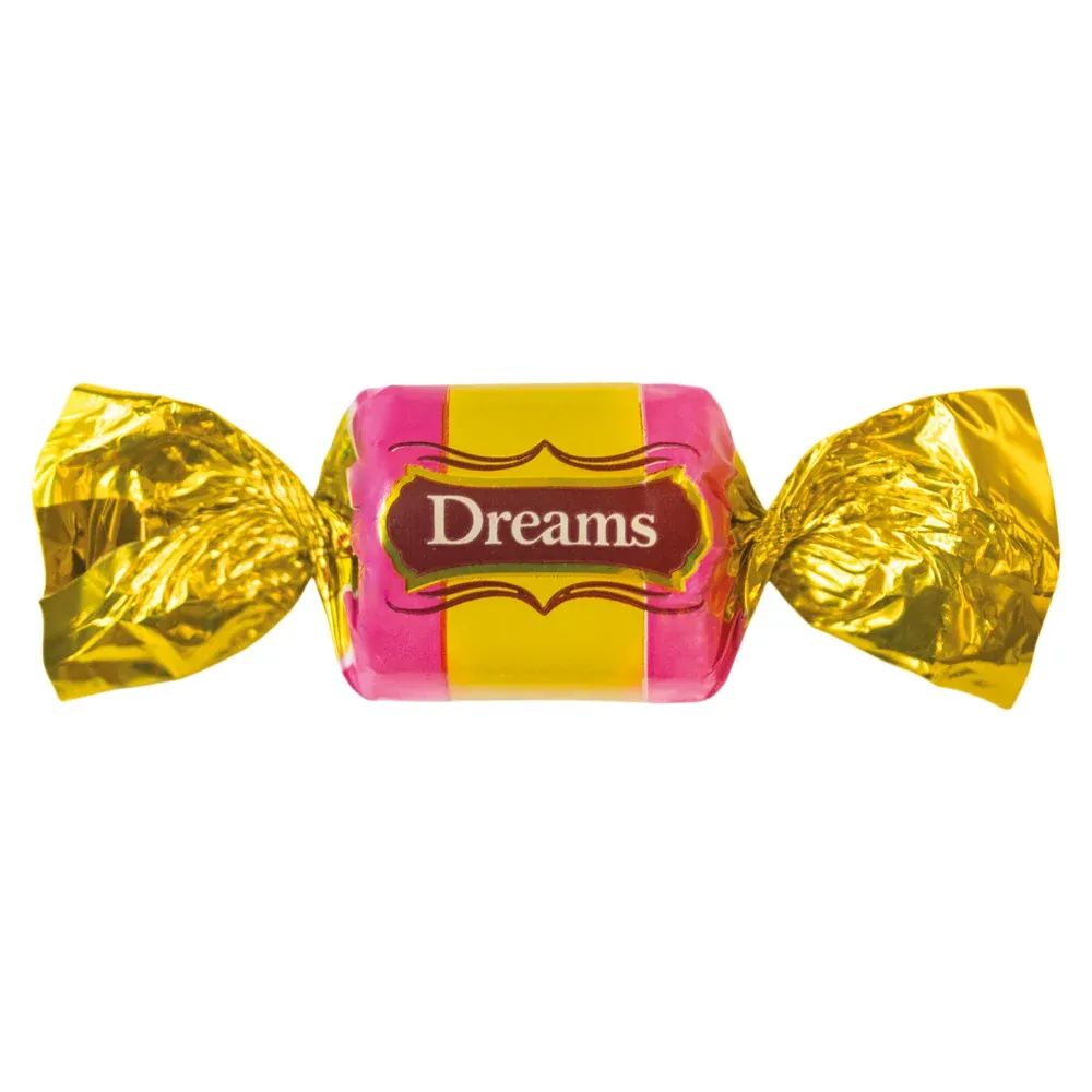 Dreams — Pushti